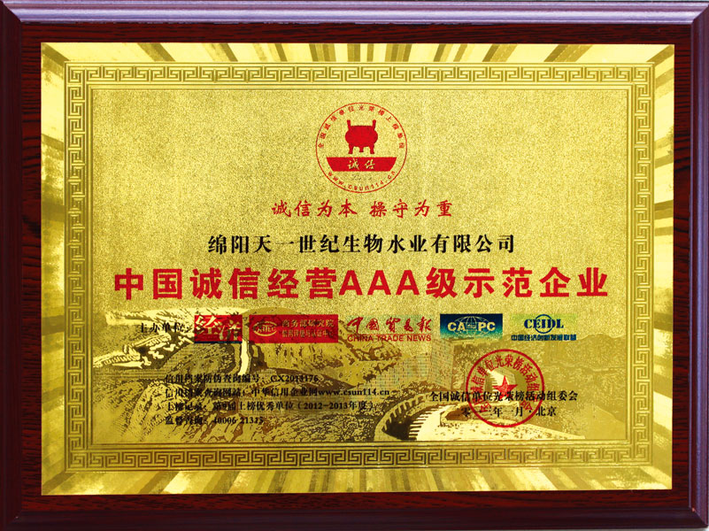 绵阳天一互联网科技有限公司-企业荣誉