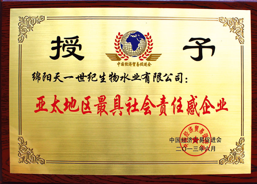 绵阳天一互联网科技有限公司-企业荣誉